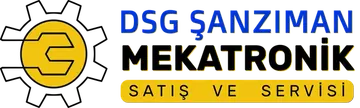 DSG Şanzıman