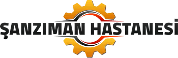 Manuel Şanzıman web tasarım referansı