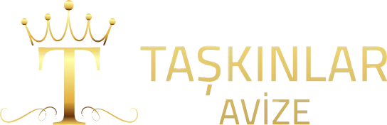 Taşkınlar Avize web tasarım referansı